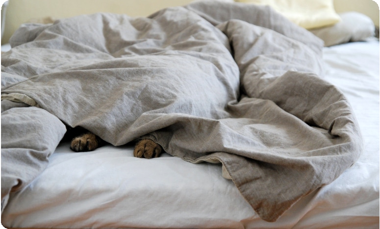 bamboo-bedding-hypoallergenic.